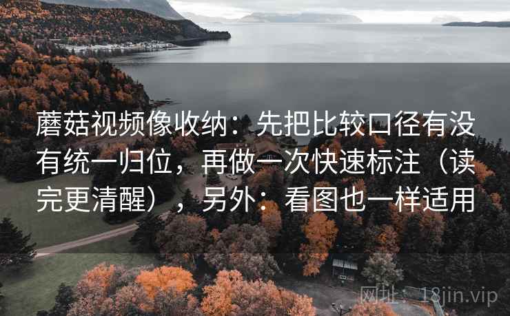 蘑菇视频像收纳:先把比较口径有没有统一归位,再做一次快速标注(读完更清醒),另外:看图也一样适用 蘑菇视频像收纳:先把比较口径有没有统一归位,再做一次快速标注(读完更清醒),另外:看图也一样适用